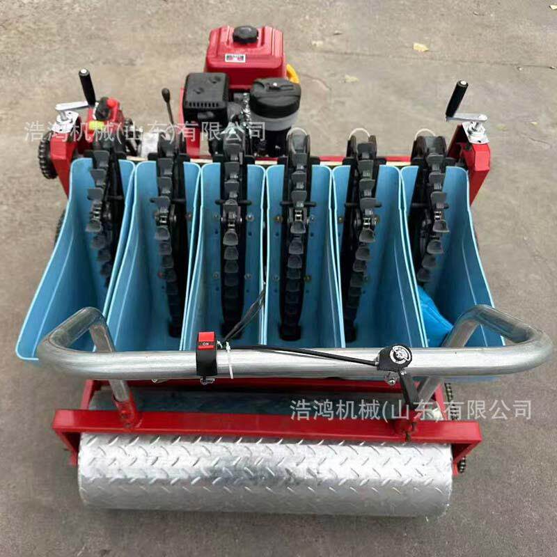 全自动手推式种蒜机汽油蒜种栽种机三行四行六行精播机大蒜播种器
