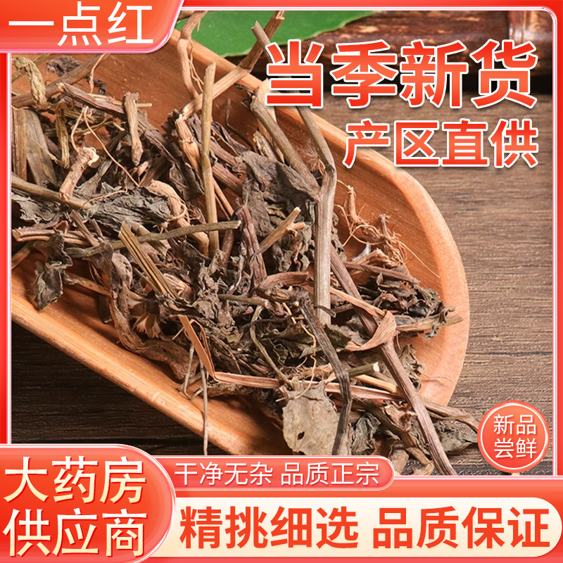 一点红中草药叶下红 中药材羊蹄草新鲜晒干红叶草红背叶草500g图片