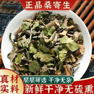 桑寄生野生中药材茶梧州桑树桑寄生茶包泡水喝正品官方旗舰店泡茶