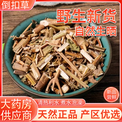 倒扣草中药材新鲜倒扣草野生倒扣草土牛七倒钩草500g牛膝草牛膝头