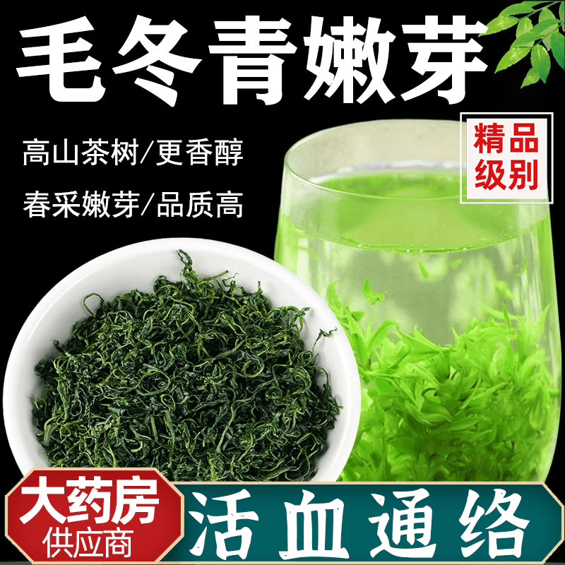 毛冬青茶正品云南野生特级嫩芽