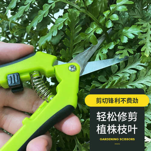 修枝剪花艺加长剪刀剪枝专用剪盆景花枝修剪工具园艺葡萄水果果蔬