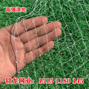 高强涤纶防鸟网果园鱼塘尼龙复丝葡萄草莓大棚边网牛蛙锦鲤养殖网