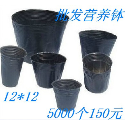。12*12营养钵育苗杯育苗袋一次性特加厚塑料花盆营养杯5000个260