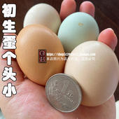 初生蛋正宗土鸡蛋笨鸡蛋柴鸡蛋谷物蛋虫草蛋农家散养新鲜鸡蛋农村