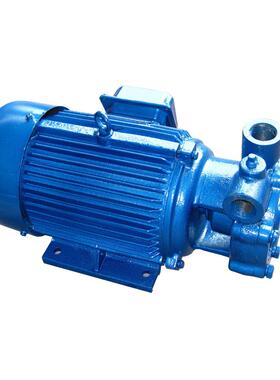 旋涡泵1W2.4-10.5/3KW440V60HZ