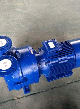 水环式真空泵2BV5110.2BV5111.2BV5121.2BV5131/5161水环式真空泵