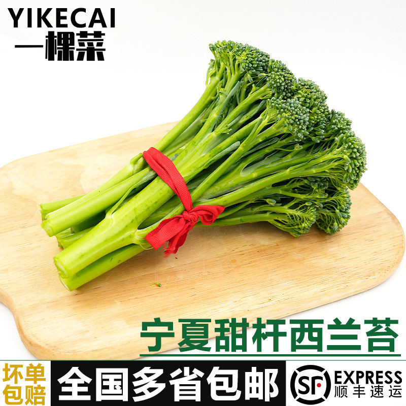 【YIKECAI 】宁夏甜杆西兰苔1-5斤 新鲜手指西兰花苔 芦笋青花苔