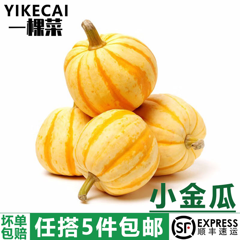【YIKECAI】小金瓜1个 迷你桔瓜酒店黄金贝贝南瓜盅万圣节太阳果,水产肉类/新鲜蔬果/熟食,南瓜,淘宝优惠券,粉丝福利购,淘宝优惠卷