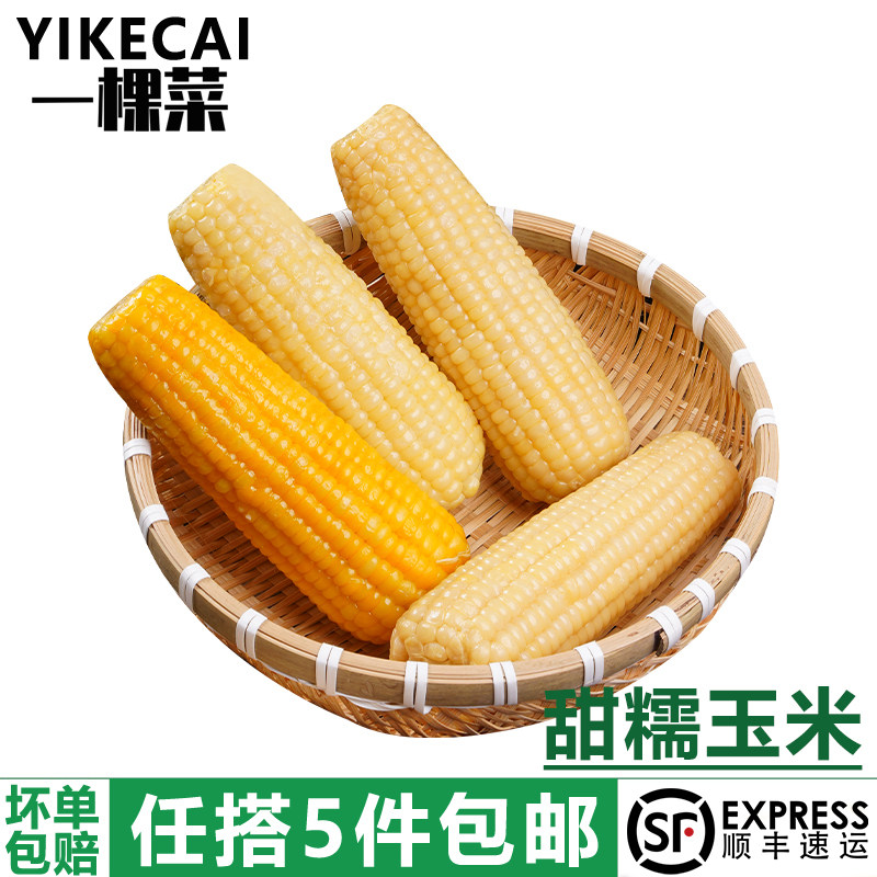 新鲜白甜糯玉米黄糯香甜粘玉米大棒真空锁鲜非转基因即食低脂代餐