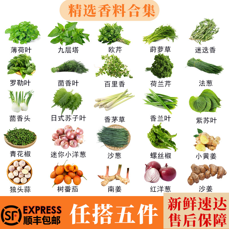 新鲜香料自选组合迷迭香罗勒叶百里香茅欧芹等西餐泰餐调料蔬菜,水产肉类/新鲜蔬果/熟食,叶菜类,淘宝优惠券,粉丝福利购,淘宝优惠卷