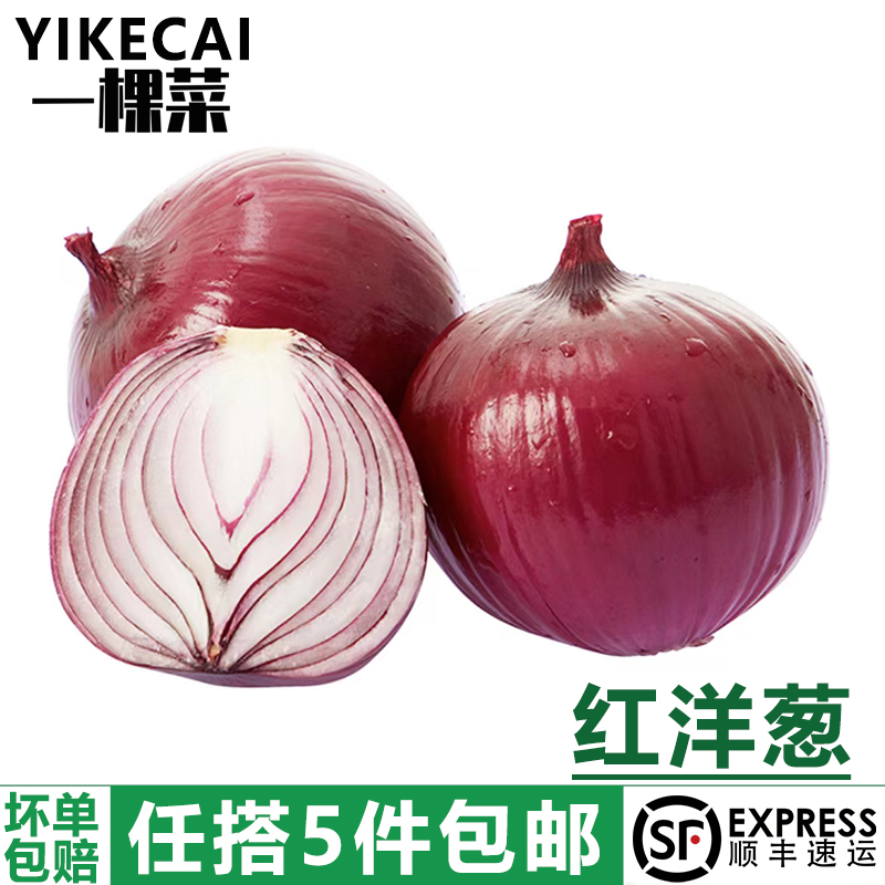 红洋葱500g新鲜蔬菜农家自种