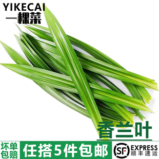 新鲜香兰叶500g斑斓叶甲抛叶千层蛋糕糯米饭食用泰国香料