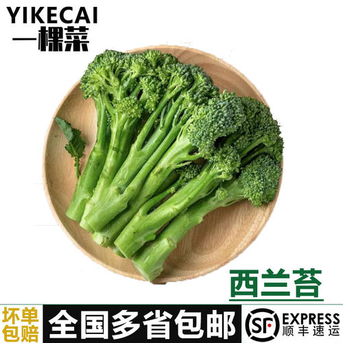 新鲜蔬菜西兰苔YIKECAI顺丰