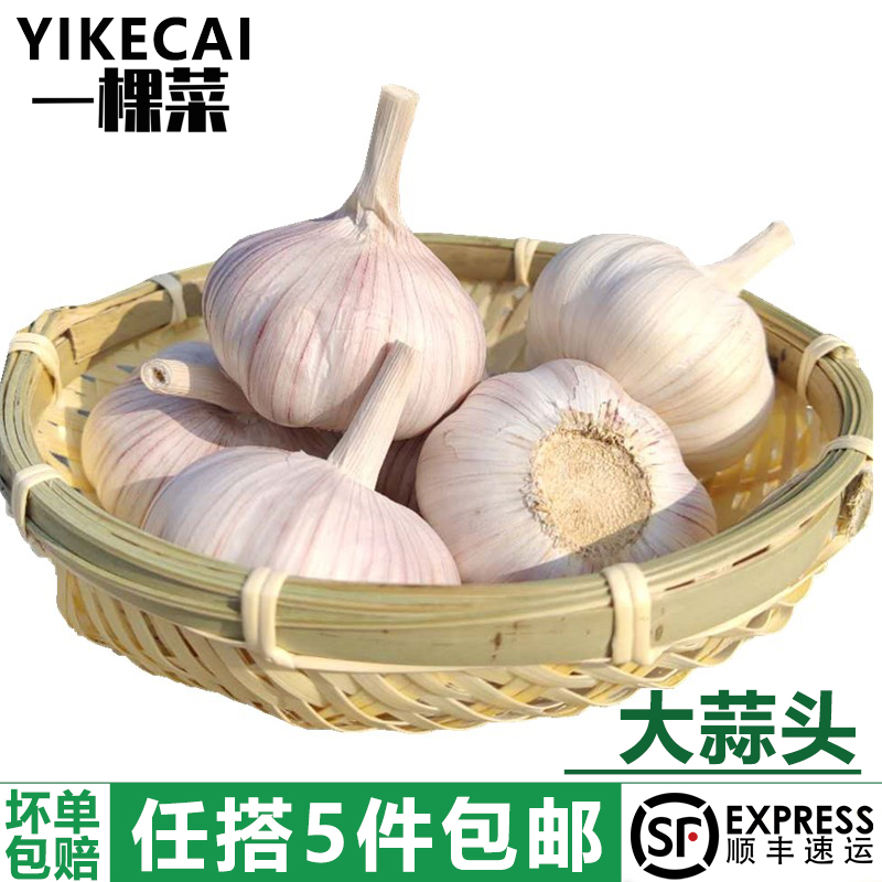 新鲜干大蒜头农家自种当季蔬菜