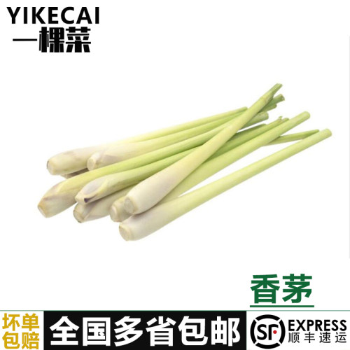 新鲜香茅草柠檬草西餐香料材料
