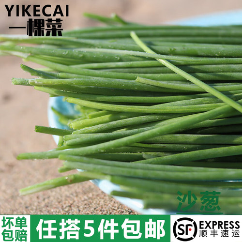 新鲜沙葱250g/盒小葱香葱