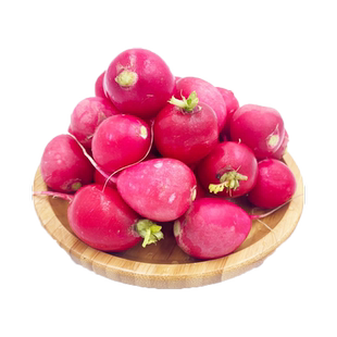 【YIKECAI】樱桃萝卜500g 迷你小红萝卜 菜新鲜蔬菜小圆萝卜