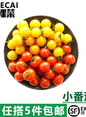 YIKECAI 樱桃小番茄400g 红黄圣女果新鲜蔬菜水果西红柿 5件包邮