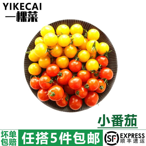 YIKECAI樱桃小番茄400g