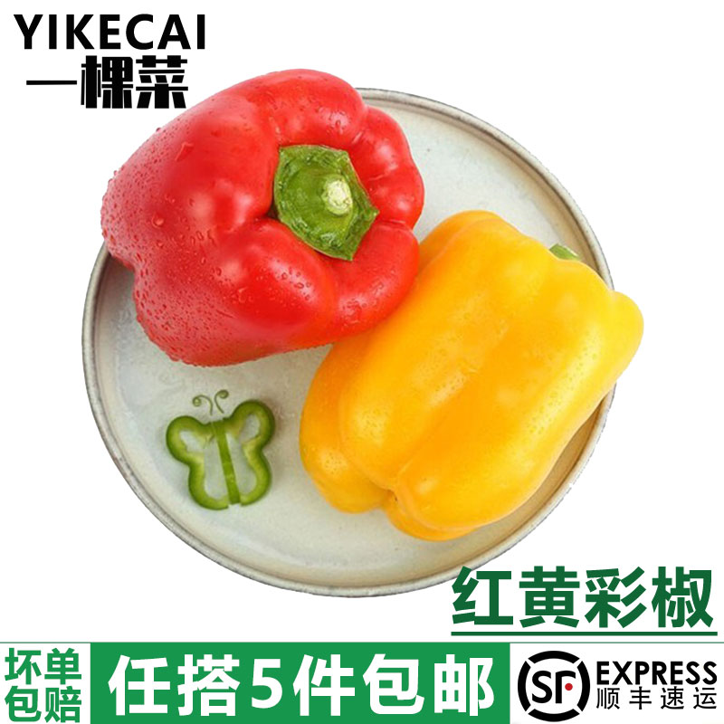 红黄彩椒灯笼辣椒新鲜沙拉蔬菜