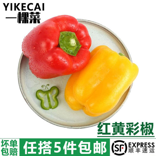 红黄彩椒灯笼辣椒新鲜沙拉蔬菜
