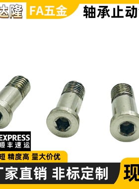 轴承止动销 BKT01 BKT02 BKT06-D6 D8-H9 H11-L20 L25 L30 外螺纹