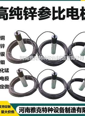 CPMS阴极保护监测系统 高纯锌参比电极 Ag/Agcl复合型参比电极