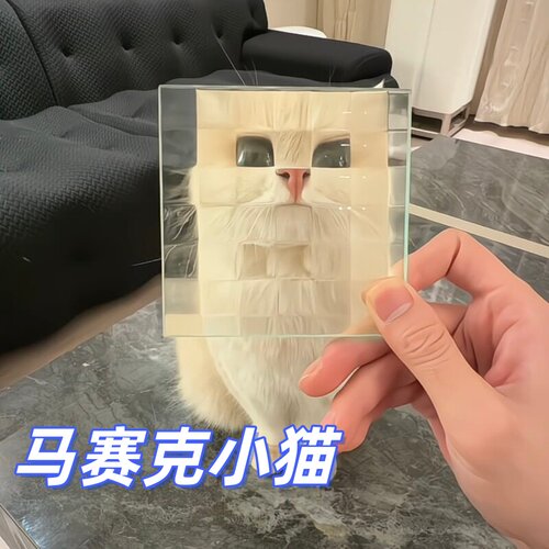 我的世界小猫搞怪拍照玻璃板