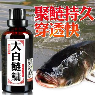 鲢鳙鱼饵钓鱼小药窝料添加剂大头鱼野钓水库浮钓花白鲢诱鱼剂神器