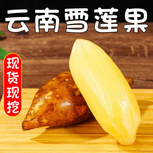 云南特产雪莲果多汁清甜脆爽红黄心新鲜水果产地新鲜直发包邮到家