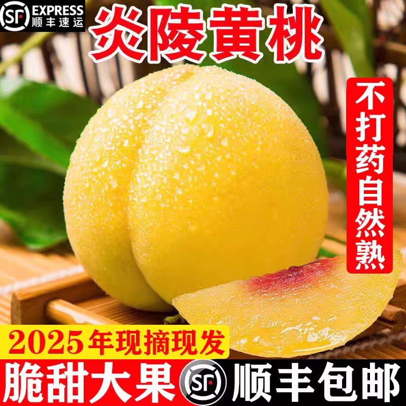 湖南炎陵黄桃新鲜水果5斤现摘毛桃子黄毛桃当季孕妇水果礼盒顺丰