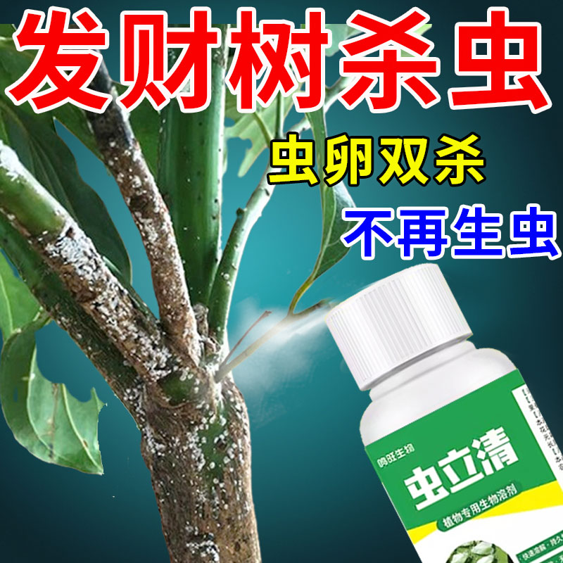 发财树杀虫剂灭除蚧壳虫绿宝树蚜虫蚧壳虫红蜘蛛白粉虱植物杀虫药