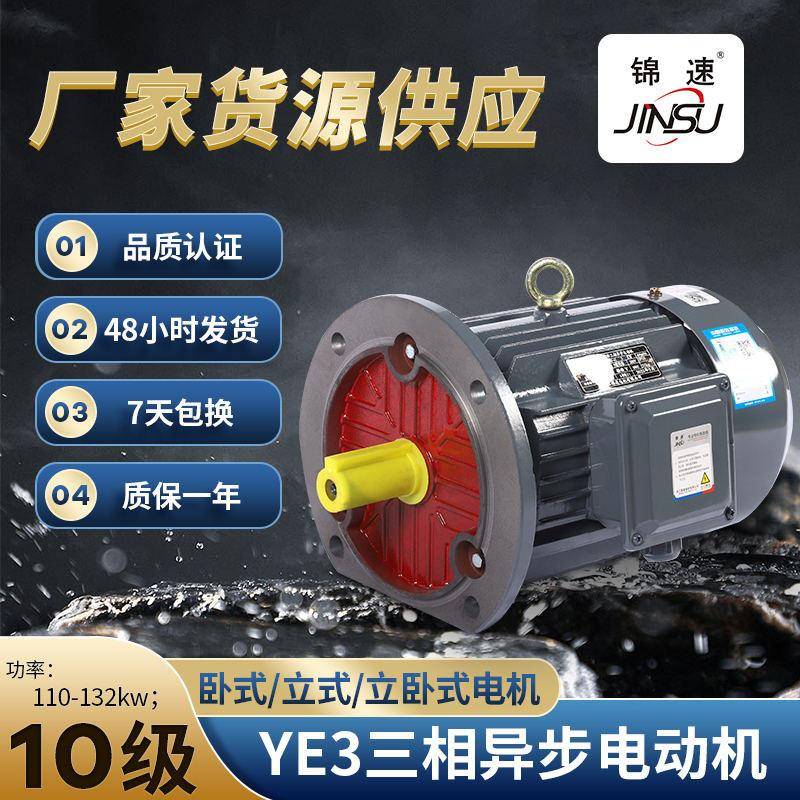 YE3系列三相异步电动机10极立卧式交流电机国标纯铜电动机