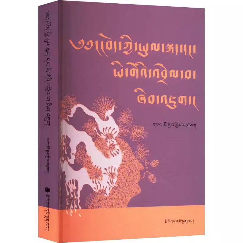 藏语方言与文字研究（藏文）少数民族语言文字历史文化民文蒙古文藏文书籍  民族出版社 9787105173617