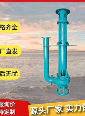 立式泥浆泵打桩机泵打井勘探清淤抽沙250QV-SP液下渣浆泵