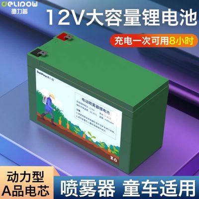 农药电动喷雾器农用童车打门禁电瓶伏锂电池大容量12v德力普电源