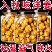 鲜嫩脆爽 山东特产酱香洋姜咸菜下饭菜美味开袋即食速食菜