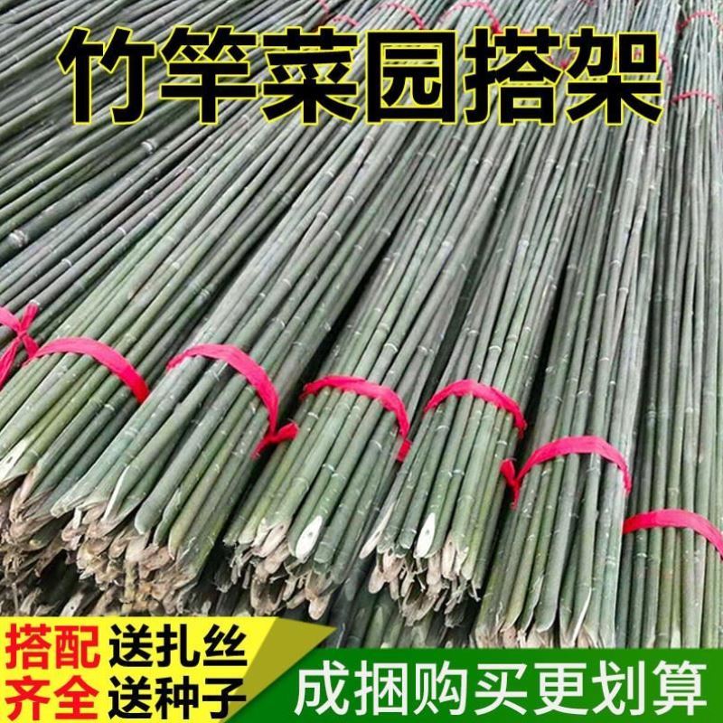 豆角黄瓜旗杆搭架菜园篱笆小竹竿园艺竹子爬围栏新品番茄包邮藤架