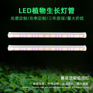 龙舌兰盆栽花卉植物补光灯管地上树冠红光660水培增产种植生长灯