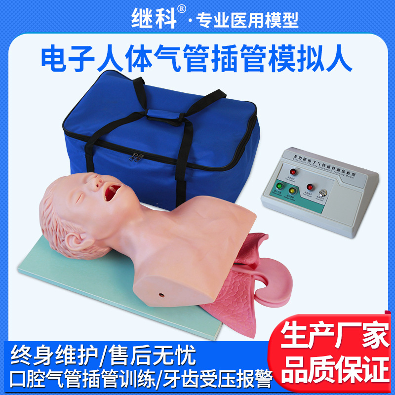 电子人体气管插管训练模型 气管插管模型口腔鼻腔操作模拟