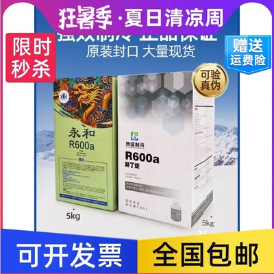 R600a制冷剂 冰箱R290制冷剂 冰柜冷媒变频冰箱空调雪种冷媒冰种