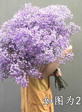 大束满天星干花花束真花鲜花论斤卖家用客厅摆件装饰插花中秋礼物