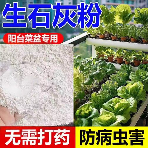 生石灰粉杀虫种菜杀菌消毒剂