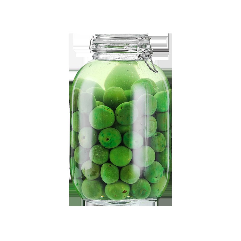 泡酒玻璃瓶家用密封泡青梅酒罐人参自酿酒瓶空瓶药酒坛子