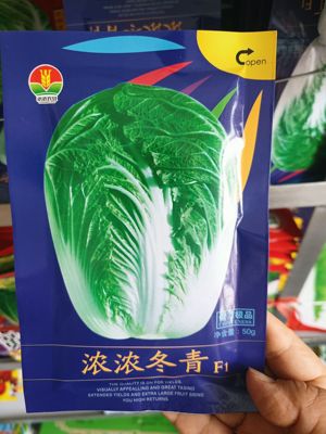 【浓浓冬青白菜种子】耐冬储三系杂交颗大心满东北大白菜种子