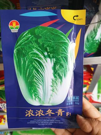 【浓浓冬青白菜种子】耐冬储三系杂交颗大心满东北大白菜种子