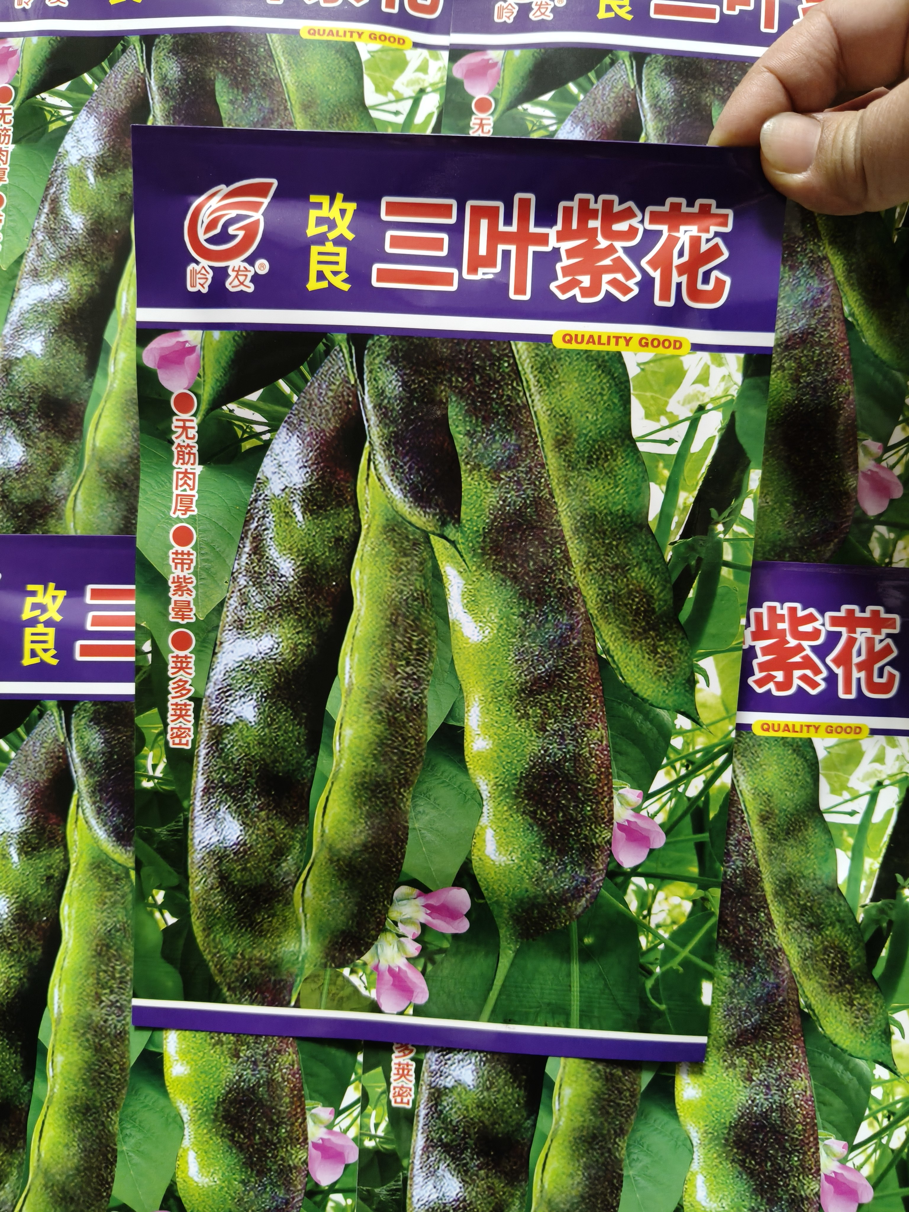 【岭发改良三叶紫花油豆种子】东北开锅烂架油豆黑龙江油豆角籽