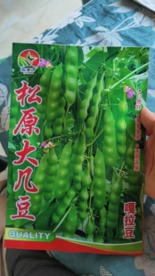 【松原大几豆豆角种子】包装随机发豆角种子油豆角子鼓豆面