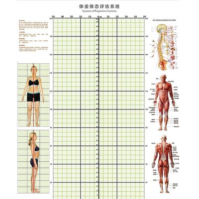 体态评估表墙纸工作室体测表背景图私教瑜伽馆健身体姿房产后壁纸